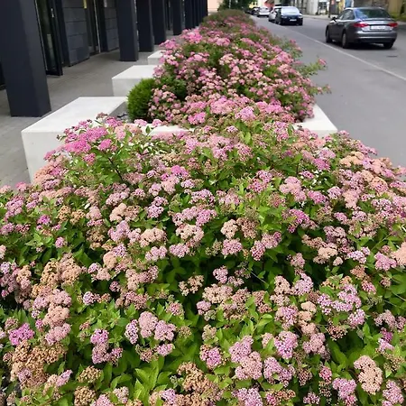 דירה Cozy - Center