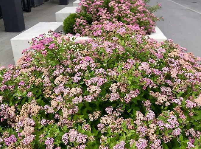 Apartamento Cozy - Center